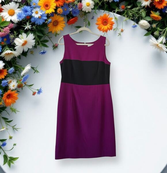 Kasper Dresses & Skirts - Kasper Dress Women’s Sleeveless Lined Zip Up Career Wear Size 12